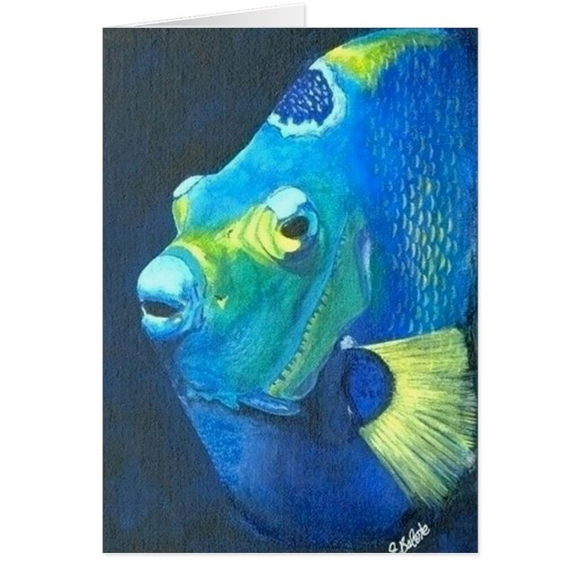 Drottningängelfisk OBS Kort (Framsidan)