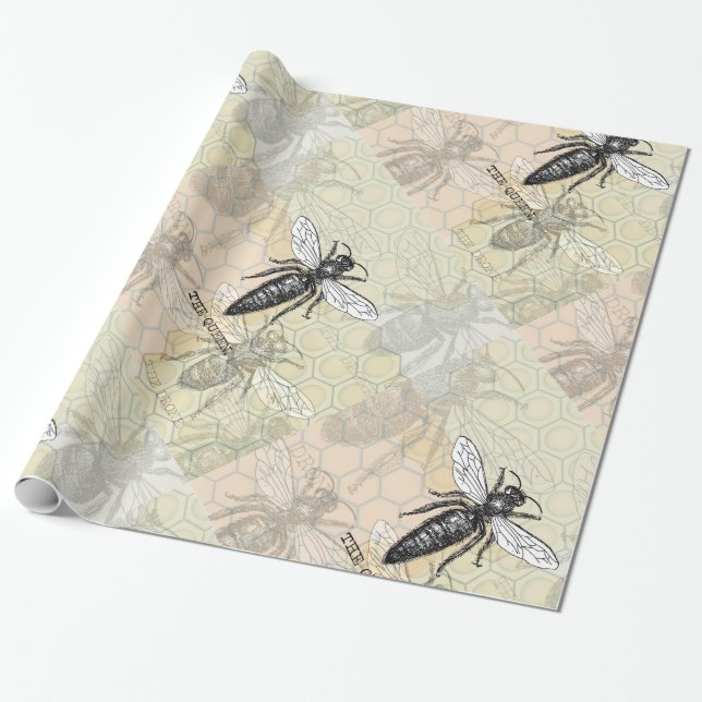 Drottningbi Insekt Antik Illustration Presentpapper (Utrullad)