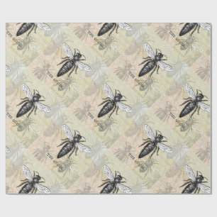 Drottningbi Insekt Antik Illustration Presentpapper