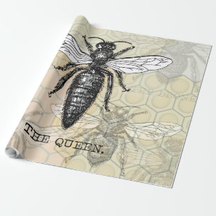 Drottningbi Insekt Antik Illustration Presentpapper