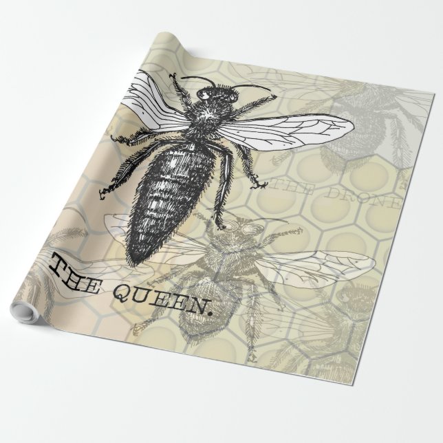 Drottningbi Insekt Antik Illustration Presentpapper (Utrullad)
