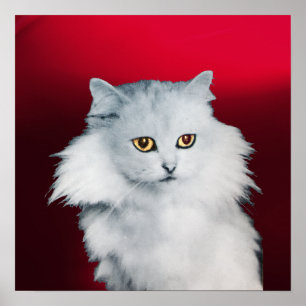DROTTNINGEN AV VITA KATTER, Röd Burgundy Poster