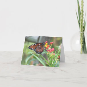 Drottningfjäril Notecard Kort