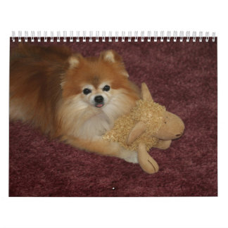 DROTTNINGSWEETIE POMERANIAN KALENDER