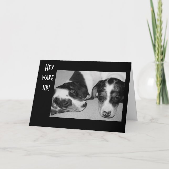 DROWSY DACHSHUNDS 40 BIRTHDAY KORT (Framsida)