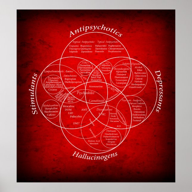 DRUG RELATIONSHIPS VENN DIAGRAM POSTER (Framsidan)