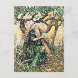 Druid Celtic Wise Priest of Nature Vykort