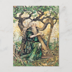 Druid Celtic Wise Priest of Nature Vykort
