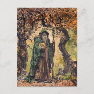 Druid Celtic Wise Priest of Nature Vykort