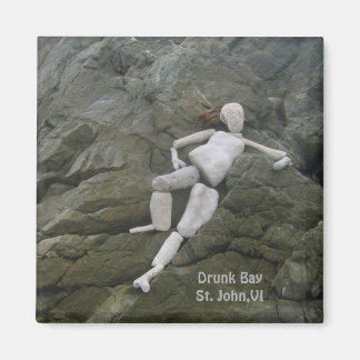 Drunk Bay vid Salt Pond, St.John,Virgin Islands Magnet