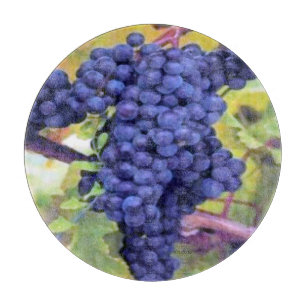 Druva-Gammal världsstil för vin