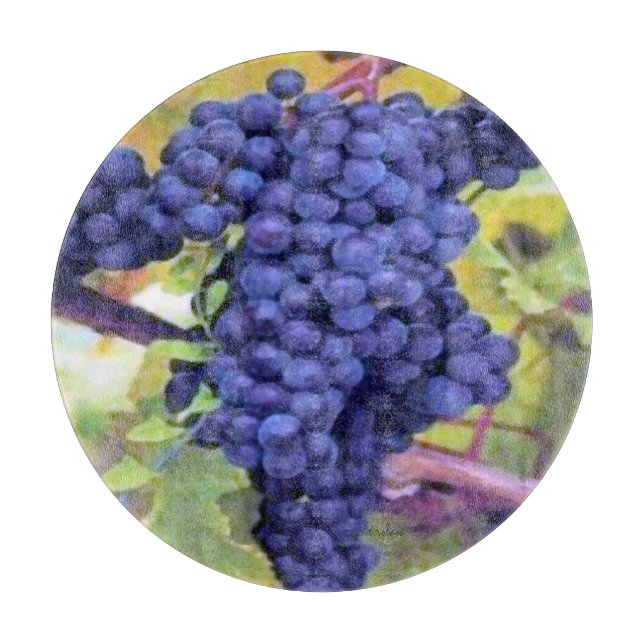 Druva-Gammal världsstil för vin (Framsidan)