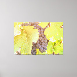 Druva på vin canvastryck