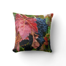 Druvaskörden kudder