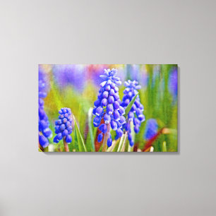 DruvHyacinater Canvastryck