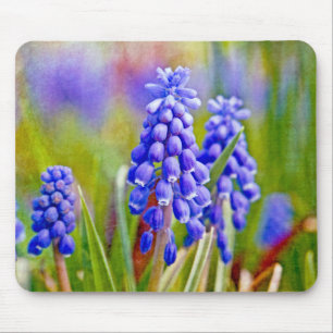 DruvHyacinater Musmatta