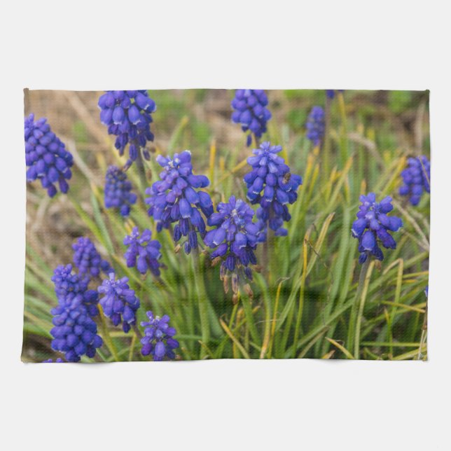 DruvHyacinths-familj Kökshandduk (Horisontell)