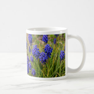 DruvHyacinths-familjekaffe Mugg