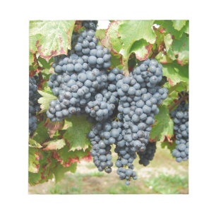 Druvor av fransk Vin Anteckningsblock