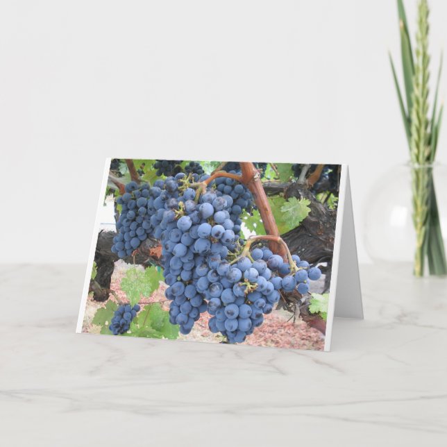 Druvor av Napa Valley Kort (Framsida)