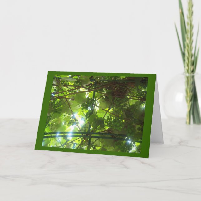 Druvor av Patience w Gräns Kort (Framsida)