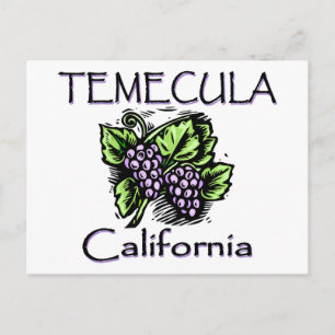 Druvor av Temecula Vykort