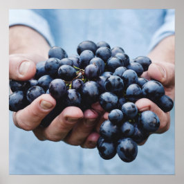 Druvor/Foodie-köks poster