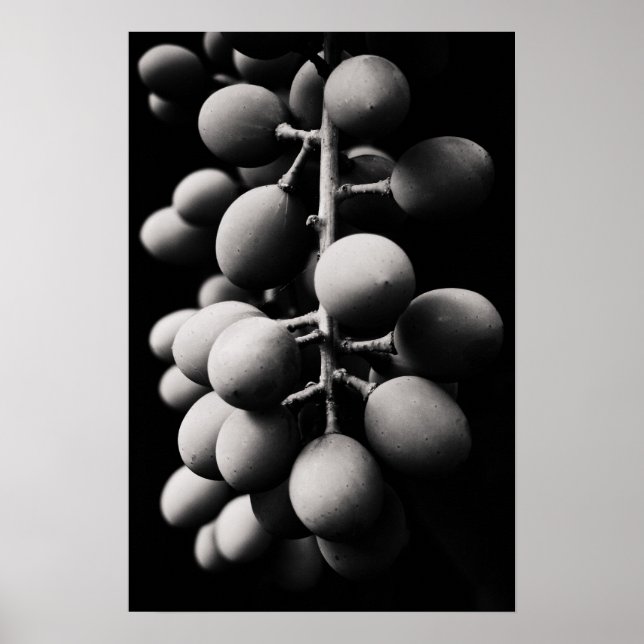 druvor för en sur dag poster (Framsidan)