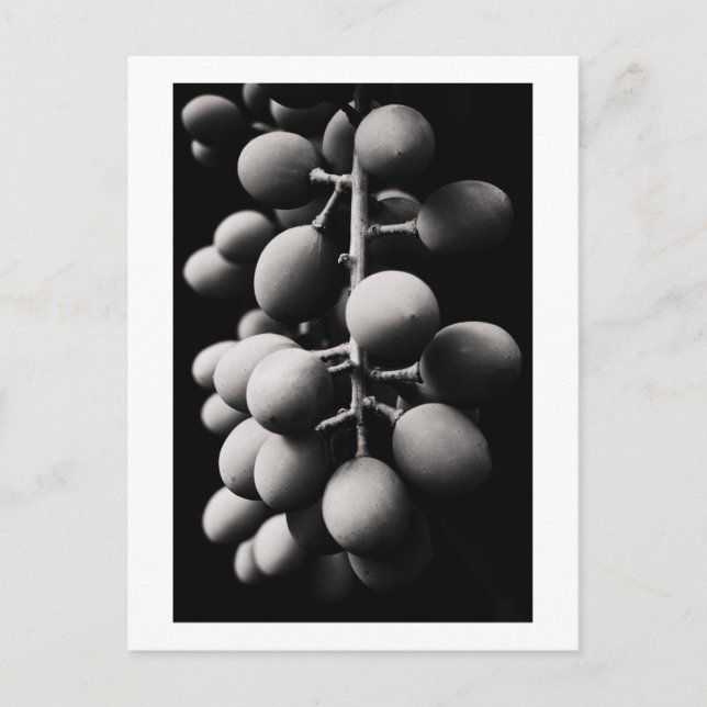 druvor för en sur dag vykort (Framsida)