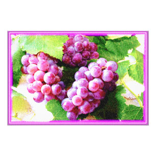 "Druvor Fruit Plant" Cute Photo. Köp nu Fototryck