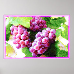 "Druvor Fruit Plant" Cute Photo. Köp nu Poster