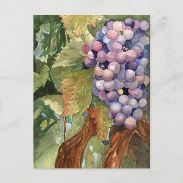Druvor frukt av vinen vykort (Framsida)