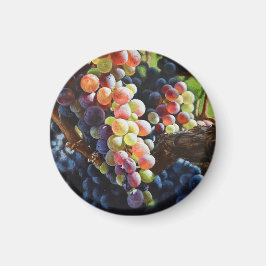 Druvor i Abundance för Vin Älskare & Wineries Magnet