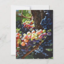 Druvor i Abundance för Vin Älskare & Wineries