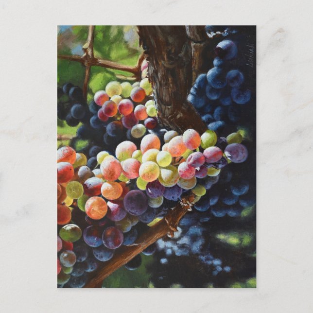 Druvor i Abundance för Vin Älskare & Wineries Vykort (Framsida)