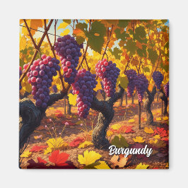 Druvor i Burgundy Frankrike Travel Magnet