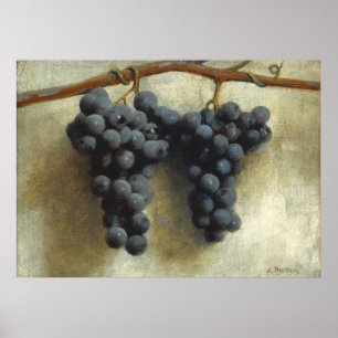 Druvor - Joseph Decker Fine Art Poster