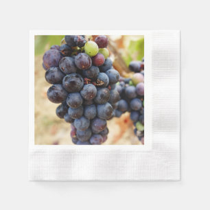 Druvor på ett vin pappersservett