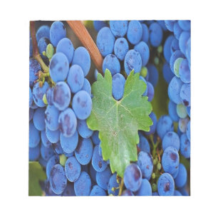 Druvor på vin anteckningsblock