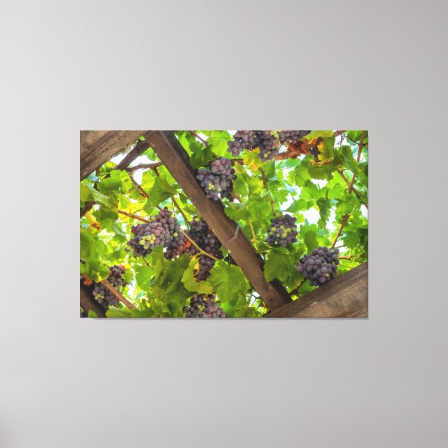 Druvor på vinerna canvastryck (Framsida)