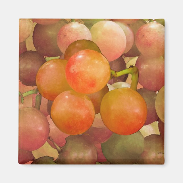 Druvor som inte är skrivna magnet (Framsidan)