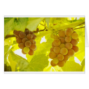 Druvor Vine Fine Art Hälsningskort