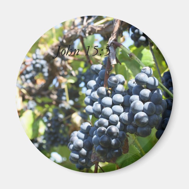 Druvor Vineyard John 15:5 Magnet (Framsidan)