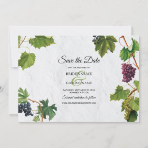 Druvor Vineyard Mediterranean Grekiska ön Bröllop Spara Datumet