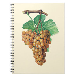 Druvorna "terretblanc", färg: buttercream anteckningsbok