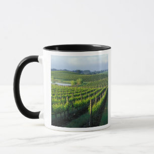 Druvrankor i snygga rader i Kaliforniens Napa Mugg