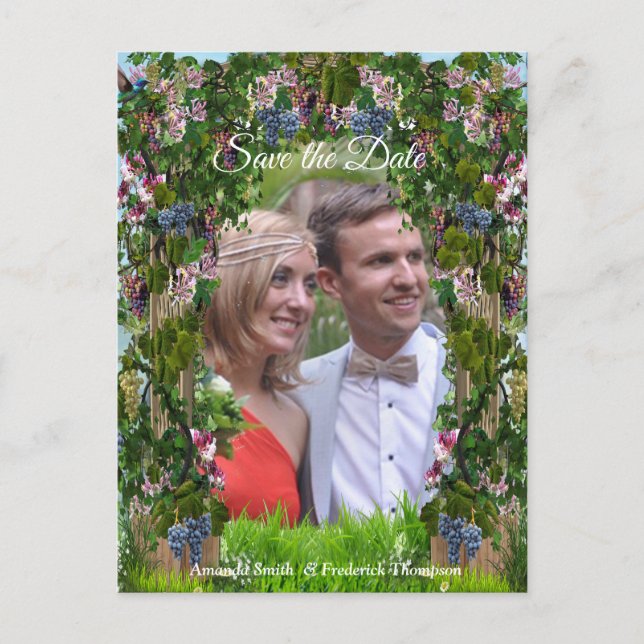 Druvrankor, Vintergröna & Kolibrier Meddelande Vykort (Framsida)