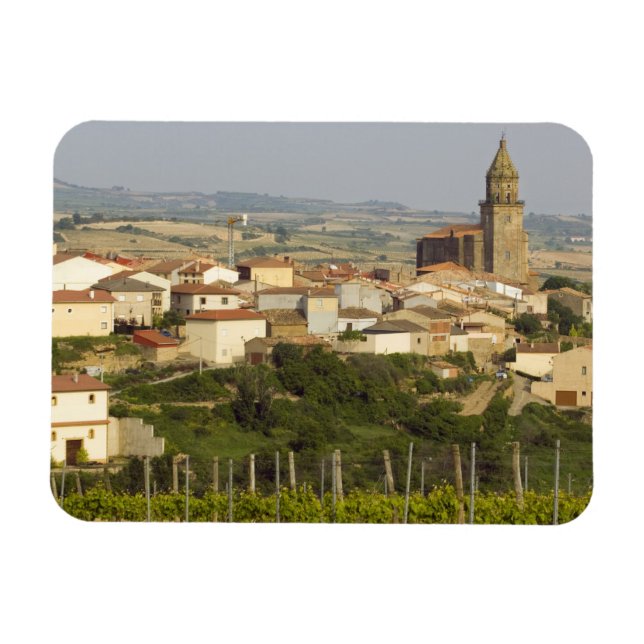 Druvsorter i förgrunden ram vid havet magnet (Horisontell)