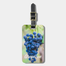 Druvvin för vin och vinodlargåva av vindruva