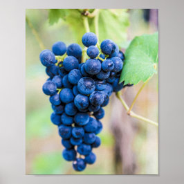 Druvvin för vin och vinodlargåva av vindruva poster